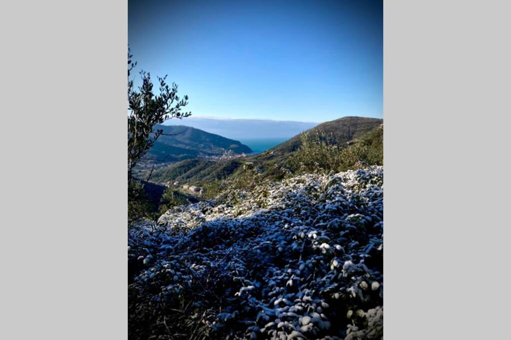 Casa Sara, Levanto, In Collina Ad Un Passo Dal Mare! 외부 사진